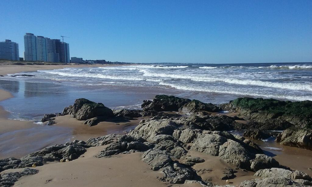Spiaggia Brava Punta Punta del Este Exterior photo